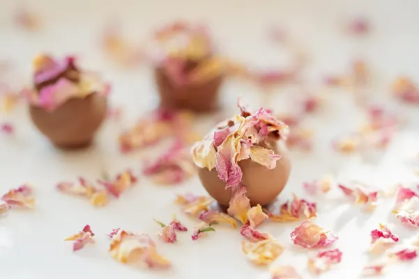 Casino Haiti Win App Android/iOS